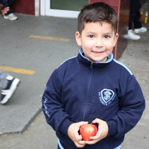 Día de la Actividad Física